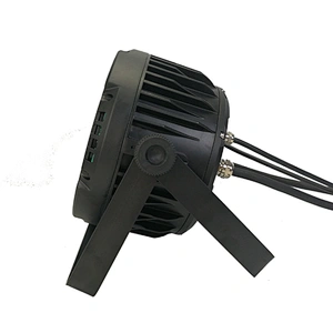LEDPAR 1218
