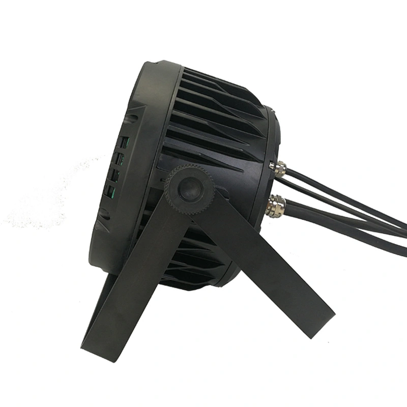 LEDPAR 1218