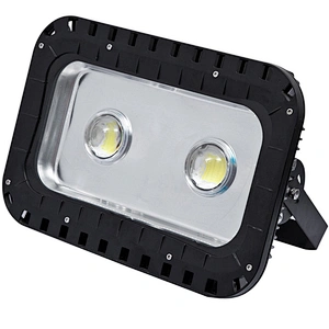 LED FLOOD LIGHT 100