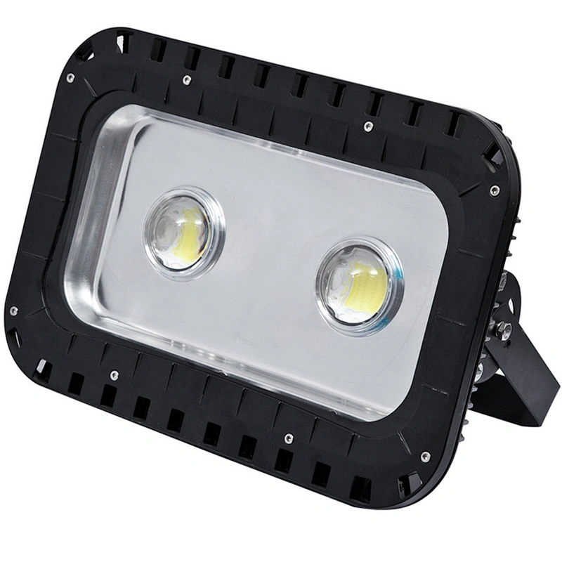 LED FLOOD LIGHT 100