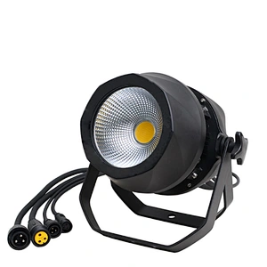 LEDCOB PAR 100