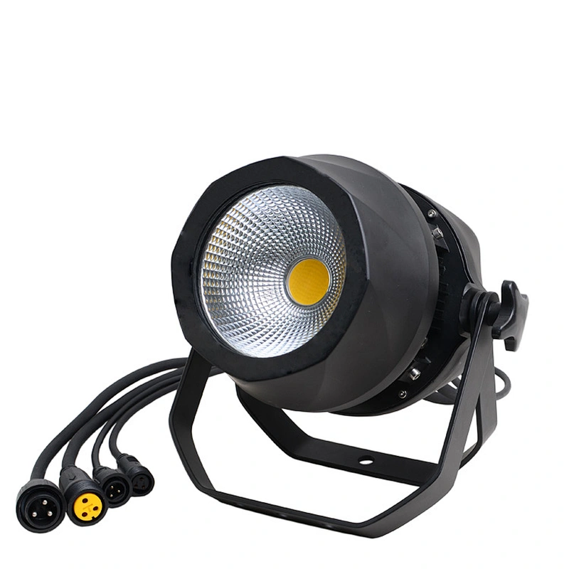 LEDCOB PAR 100