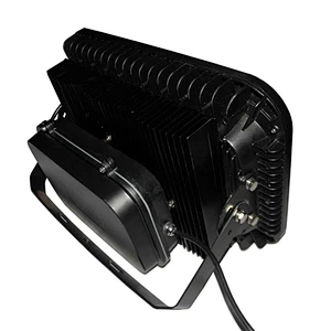 LED FLOOD LIGHT 100