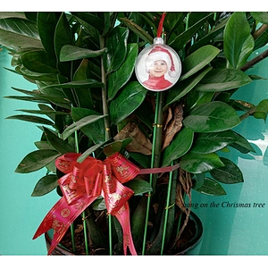 plastic christmas ball ornaments Xmas photo frame for tree decoration christmas photo frame for kids