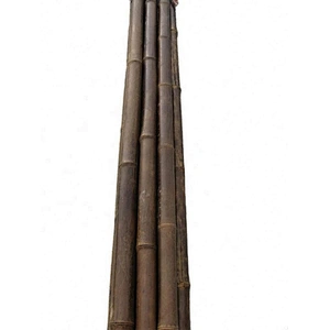 mannings poles