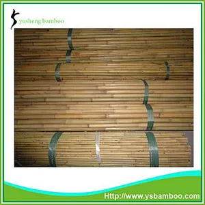 bamboo cane furniture
