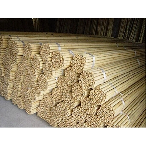 poles for tomatoes