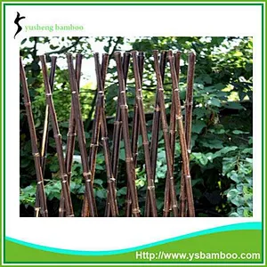 Natural Black Bamboo Fence