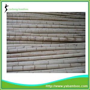 bamboo stakes for tomatoes