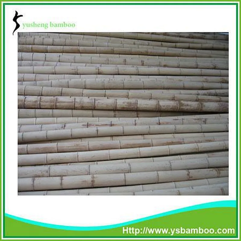 bamboo stakes for tomatoes