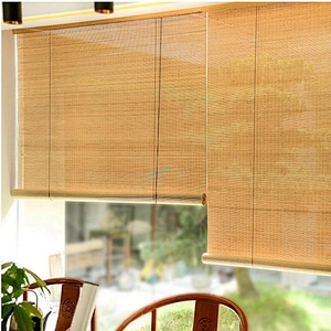 Outdoor  Vertical Day Night Bamboo Roller Blind