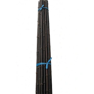 decorated with bamboo canes