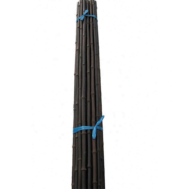 decorated with bamboo canes