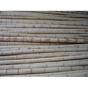 natural bamboo poles construction