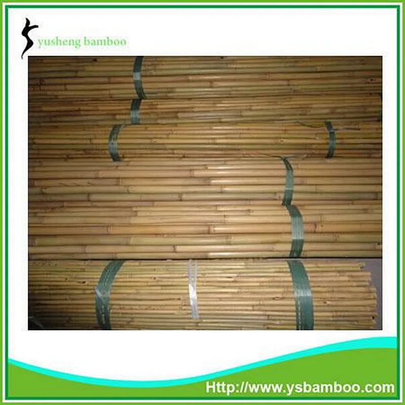 tent poles for sale
