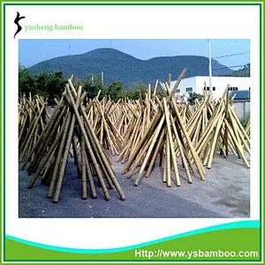 bamboo round poles