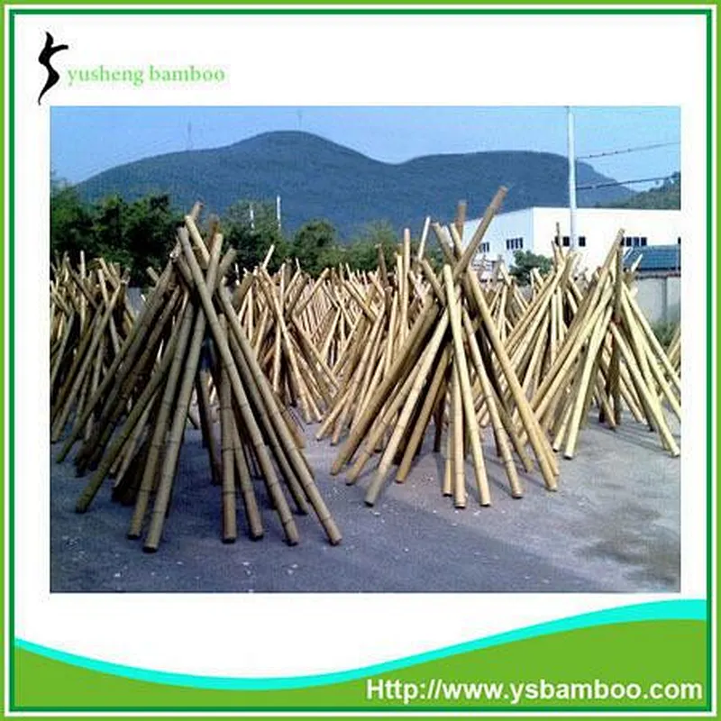 bamboo round poles