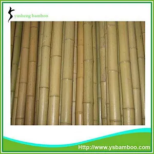Bamboo stakes for garden
