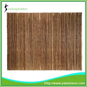 natural bamboo reed fence