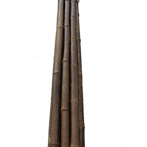 bamboo stakes