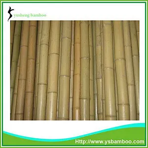 bamboo fencing poles