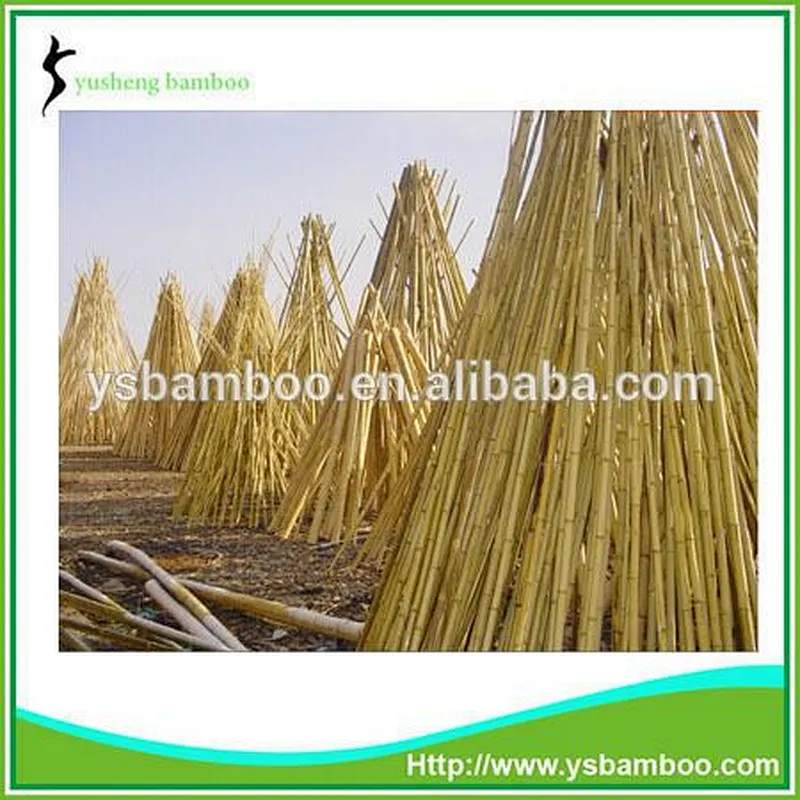 Construction Grade Bamboo Poles