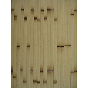 Shower Wall Covering
