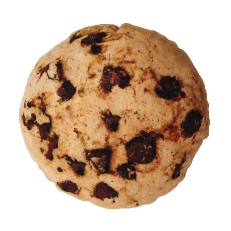 Plush Realistic brown biscuits Shape For Pet Toy Chew Bite