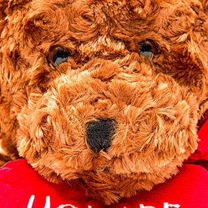 2021 gift 25cm mini small stuffed soft toys valentines bear