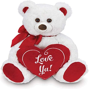 2021 stuffed animal plush gift teddy bear valentines