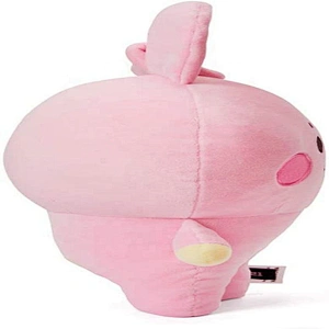 kpop doll keychains stuffed toys soft peluches throw pillow bt21 plush doll