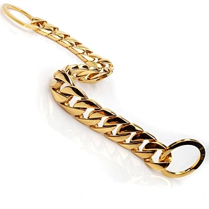 Wholesale Stainless Steel Gold Plated Dog Training Collar