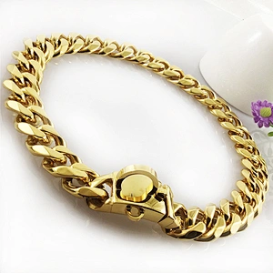 Wholesale Stainless Steel Metal Pet Custom Dog Collar Leash