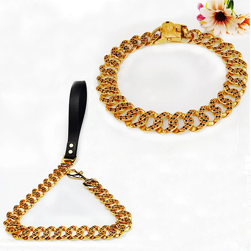 Metal Clasp Engraved Dog Collar Chain Lead