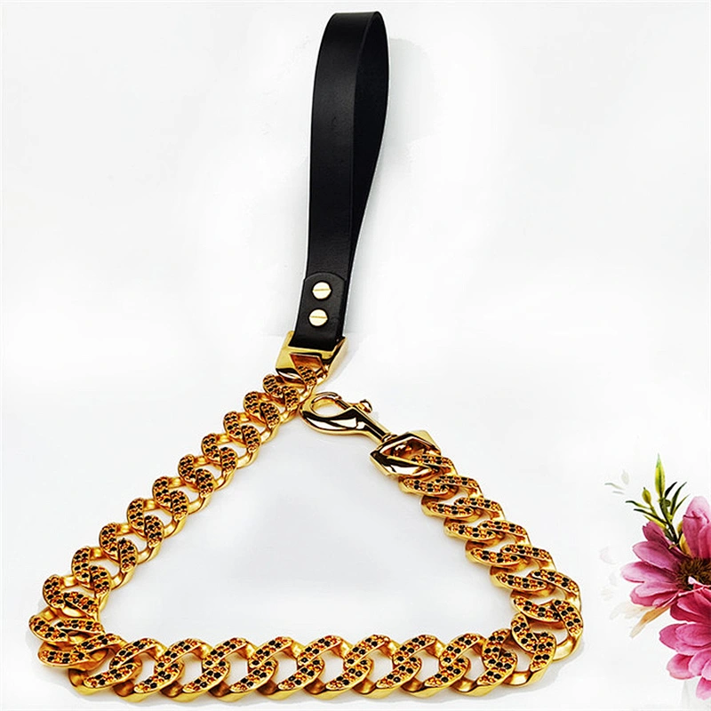 Metal Clasp Engraved Dog Collar Chain Lead