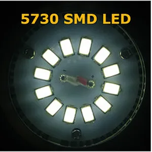 Tope sale 0.3w 10-15lm 5730 smd led taiwan epistar chip led
