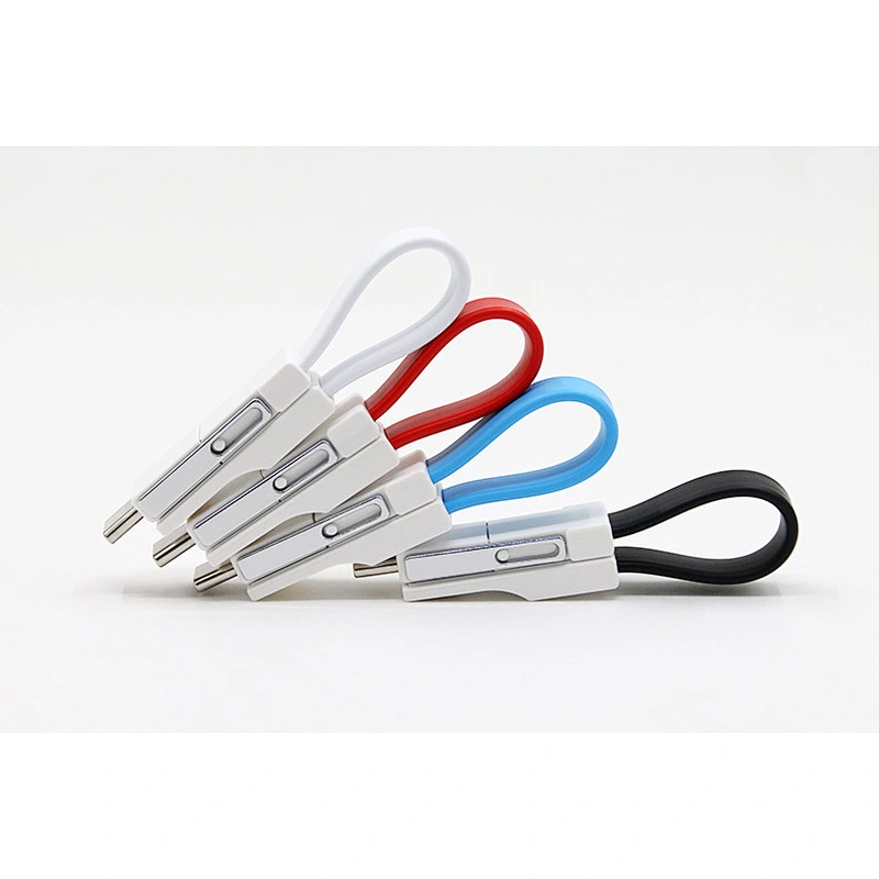 Key-ring attached data cable
