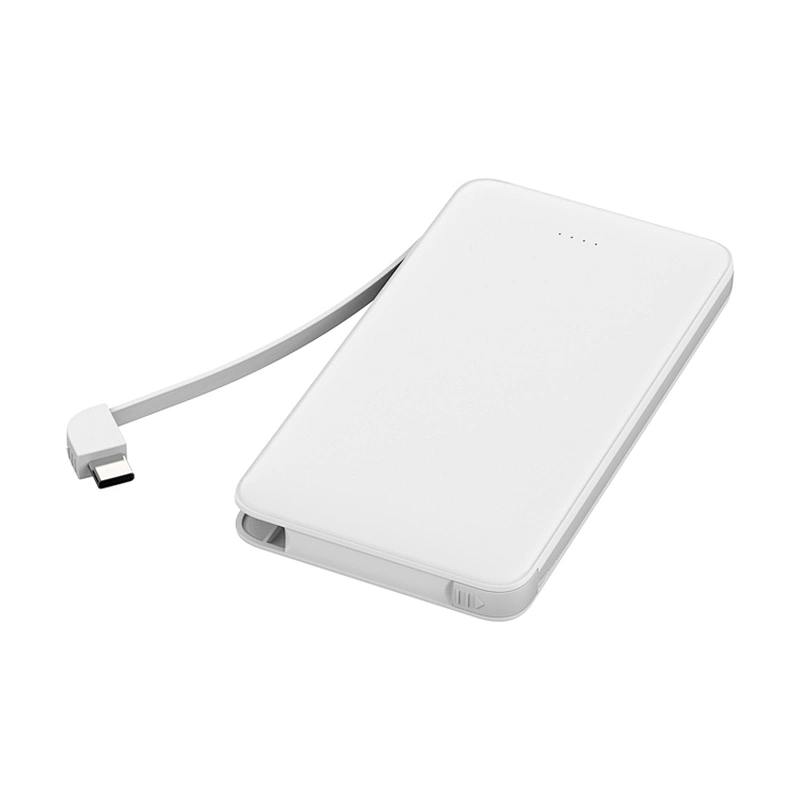 10000MAH Portable Power Banks on the go Dual USB ports output 5V2A quick charge fixed type c charging cable