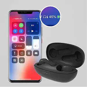 Private Mould Wireless Earbuds Bluetooth 5.0 in ear JL6936 Chipset Crystal Voice Siri wake up battery indication smart control