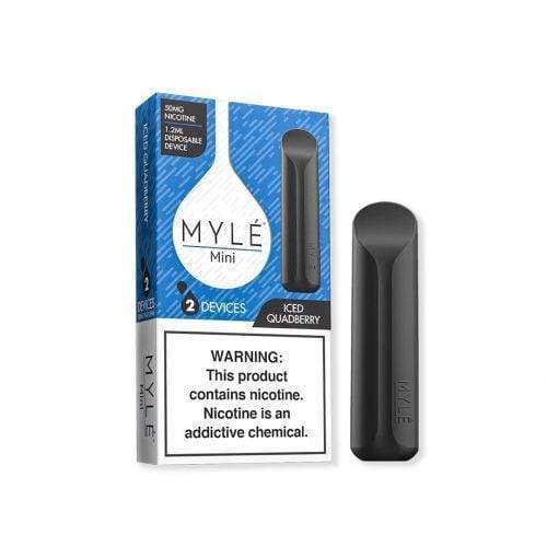 disposable mini electronic cigarette