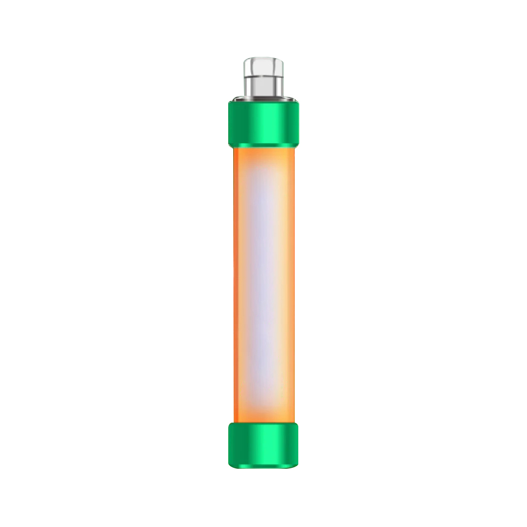 electronic cigarette vaporizer