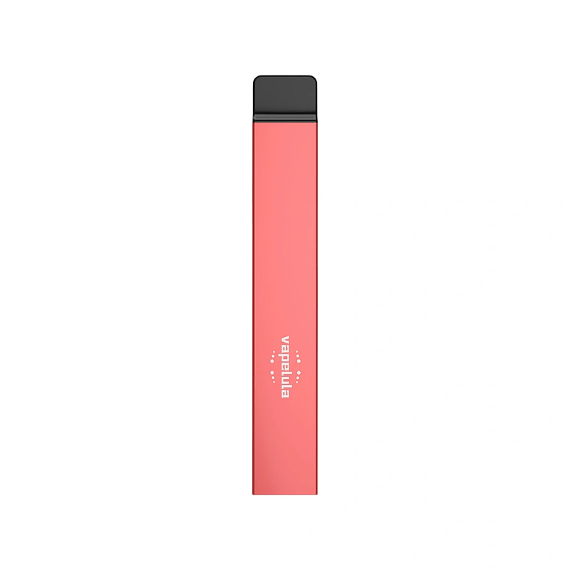 LULA portable best-selling VAPE