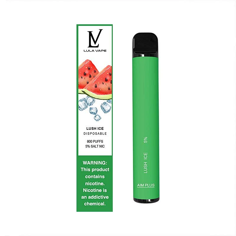 800 PUFFS Electron Vape Disposable E-Cigarettes 10 flavors wholesale factory vape