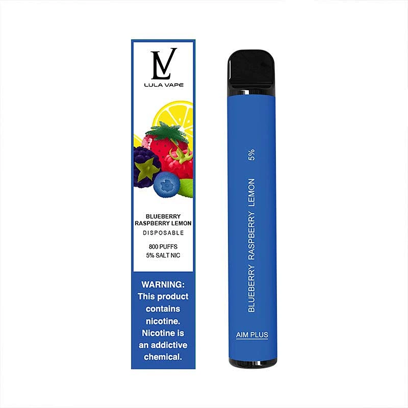 800 PUFFS Electron Vape Disposable E-Cigarettes 10 flavors wholesale factory vape