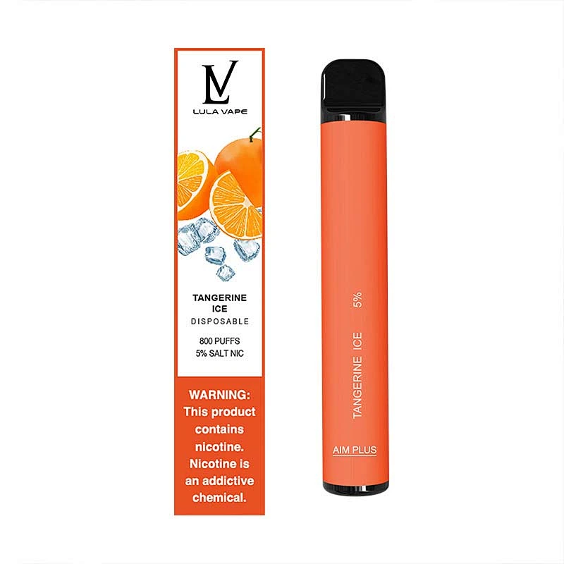 800 PUFFS Electron Vape Disposable E-Cigarettes 10 flavors wholesale factory vape