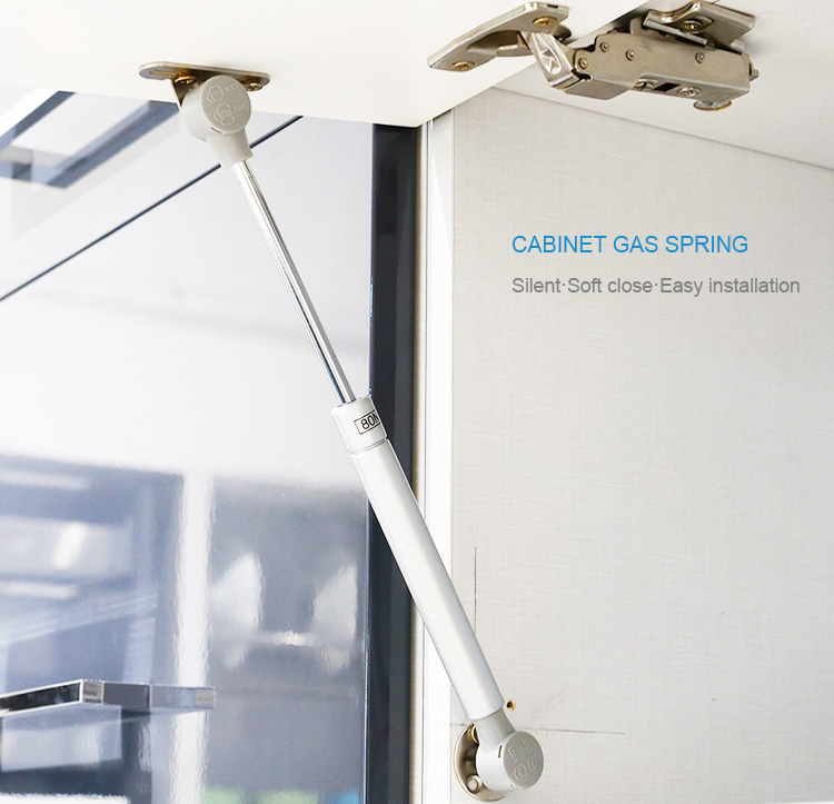 cabinet gas spring