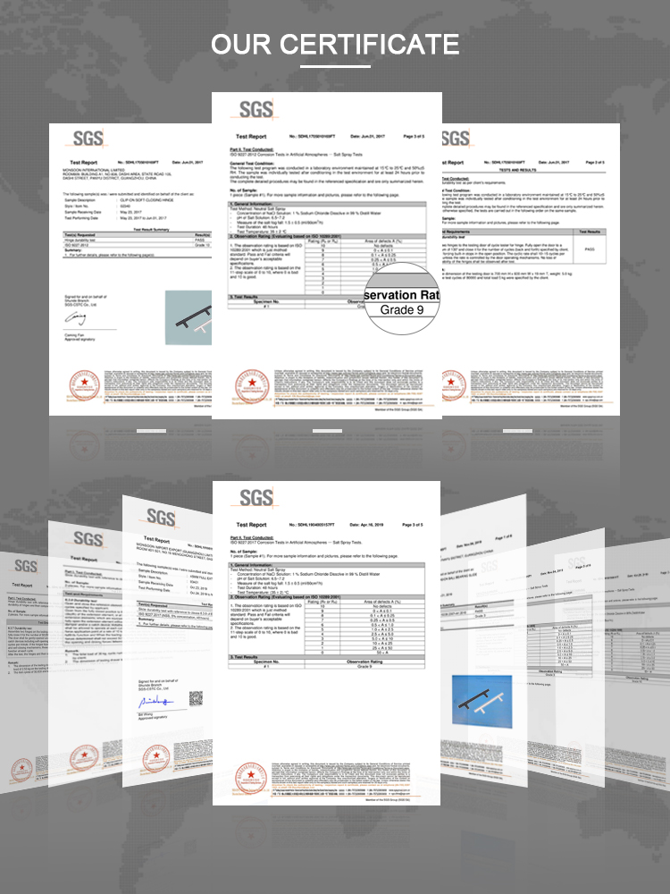 SGS certification