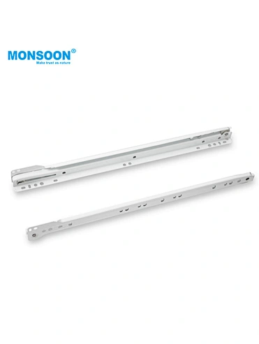 FGV-Type Powder-Coated Roller Slide