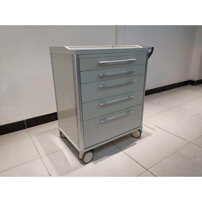 Hot Sales Ward Trolley in Powder Coated Steel