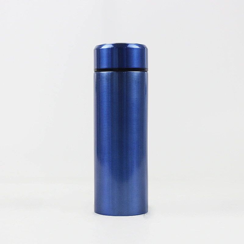 Personalized water bottle,500ml double wall sport water bottle bpa free